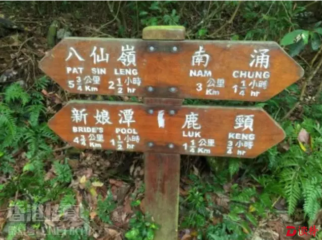 Fanny从事耕作已有十年，采访当日，她带着摄制队，走遍南涌一带的农地，基本上沿途所有人都认得她，就算在没有路标的乡郊地方，她也能如导游一般游走农地小路，可见她对地形熟悉，与这片农地密不可分。令笔者讶异的，是她原来家住旺角，每天都得花上接近三小时到南涌，为的就是对耕作的坚持。