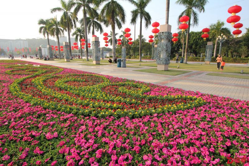 姹紫嫣红龙华新区观澜世纪广场是“中轴花城”的写照。