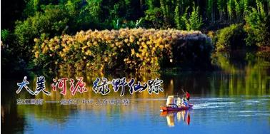 广东人的绿野仙踪
