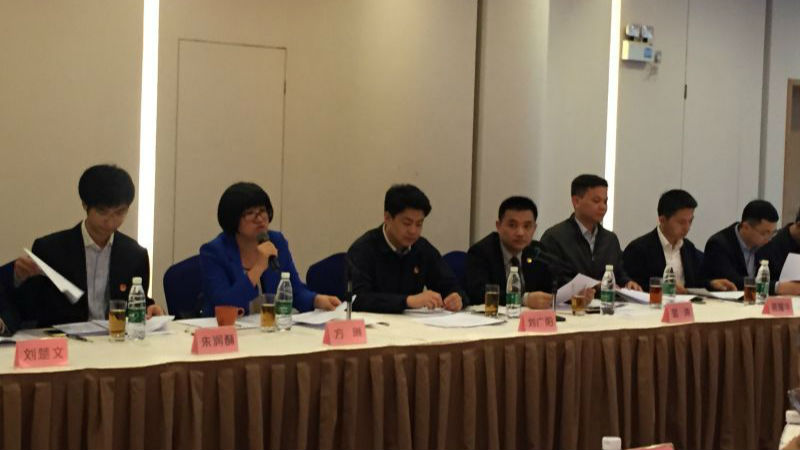 传递“青年之声” 青少年代表为两会建言献策
