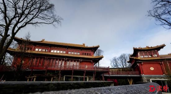 荷兰建“超豪华”大熊猫馆 迎接中国国宝