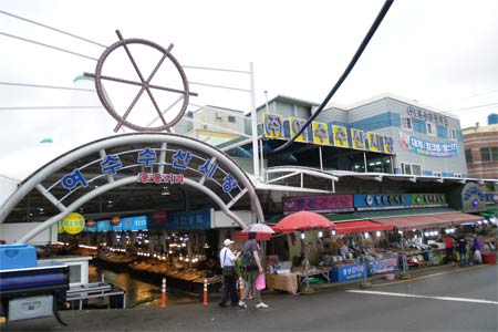 韩国水产市场起火60家店铺被毁 损失逾300万元