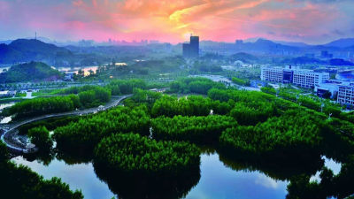 深圳旁边这个湿地公园竟是国家级的，快去尝鲜！