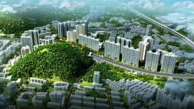 老夫妇千里回深参加棚改签约