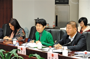 宝安代表团代表热议特区一体化。