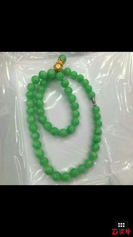 缴获的项链