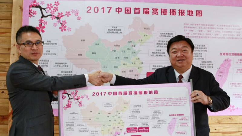 国内首次播报樱花花期 这些时候赏樱最好