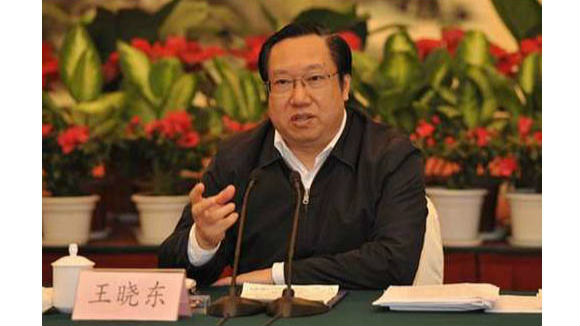 王晓东当选湖北省人民政府省长