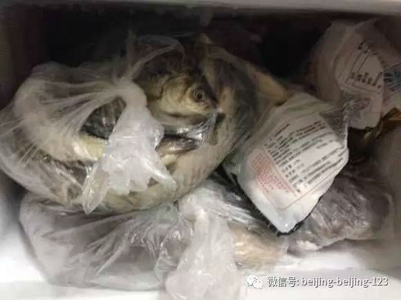 年货太多冰箱塞不下？别急，这里有更管用的方法