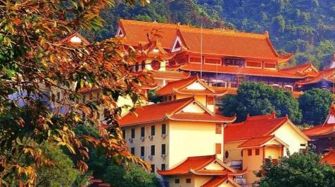 春节仙湖植物园限流！请收下这份入园攻略