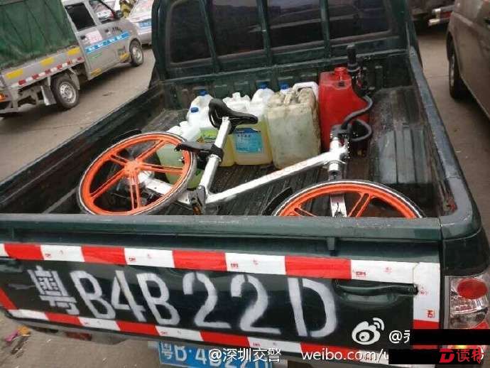 网友举报图片