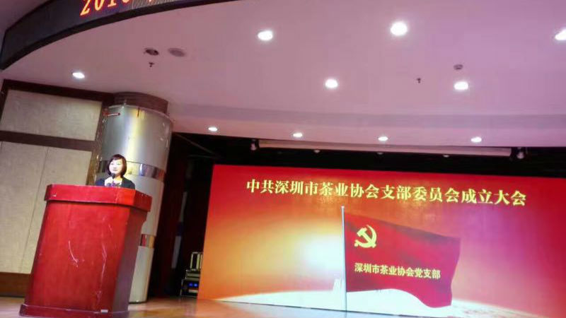 深圳“两新”组织党建工作迈新步