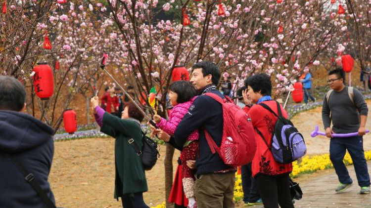 广东迎56年来最暖冬天 平均气温显著偏高