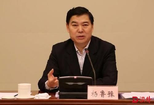 杨鲁豫