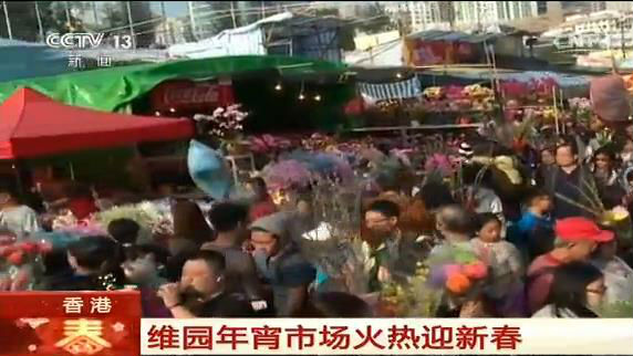 鸡年到了！带你逛逛香港维园年宵市场