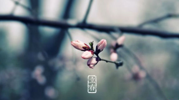 天文专家：今年2月3日23时34分立春
