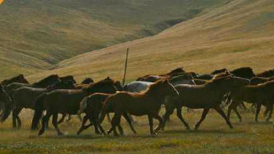 外媒：外债到期 蒙古举国捐钱捐黄金捐马匹