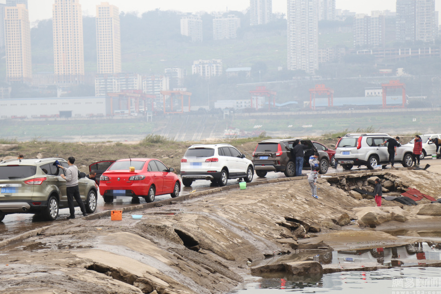 码头成了自助洗车场 百余辆车排队洗车
