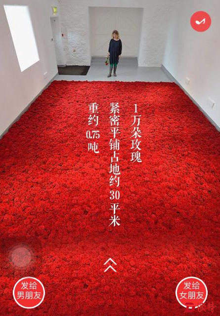 QQ截图20170206125526