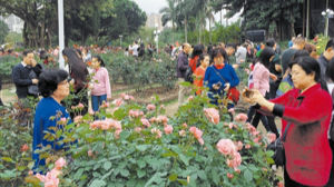 仅一个10℃以下寒冷天气 深圳过了个假冬天