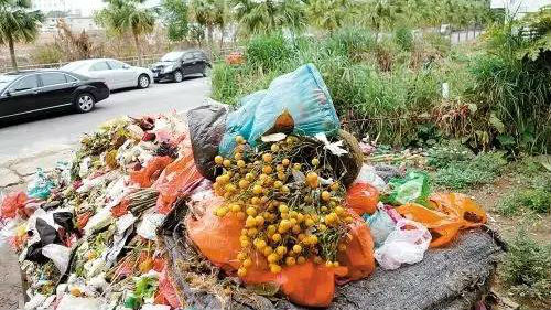 “过气”年花无处安放？深圳这些地方可回收