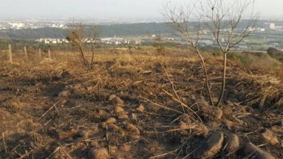 台湾桃园山林大火延烧20公顷 百人数小时扑灭