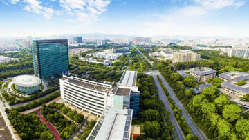 坂雪岗科技城建设提速提质提效