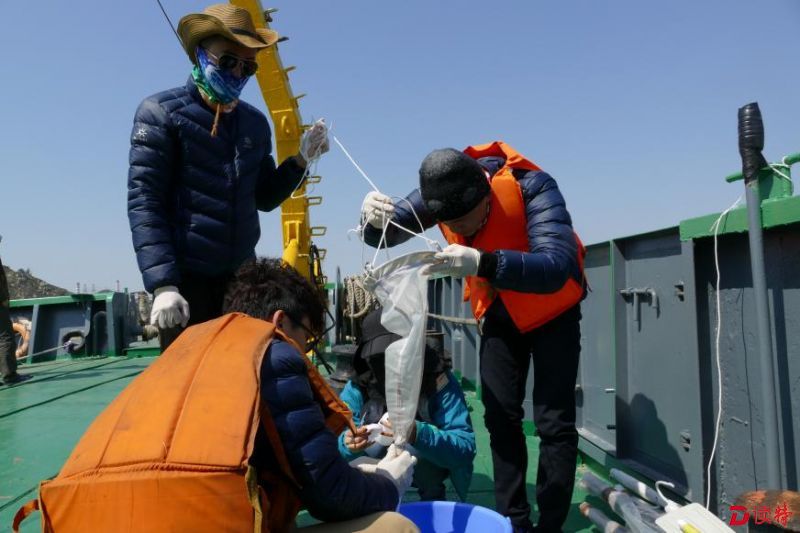 科考队员正在采集浮游生物