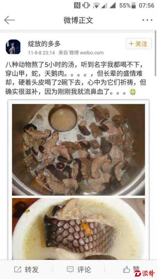 深圳现