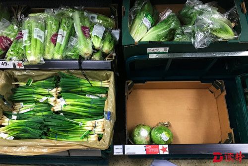 德国刚刚新开一个奇葩超市：专卖过期食品