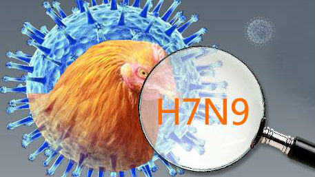 广东H7N9感染者病例中发现病毒变异株