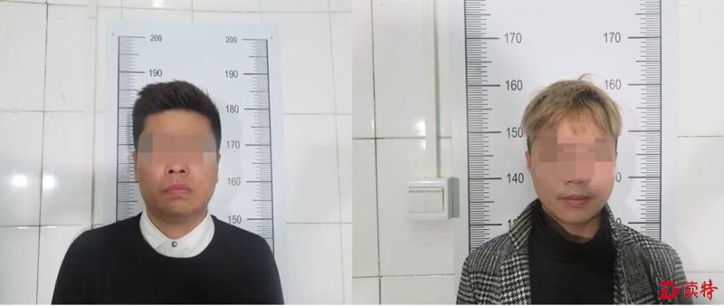 散布“吃大盘鸡感染H7N9死亡” 谣言 两男被拘