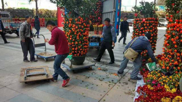 就这么方便！福田首推微信预约回收年花年桔
