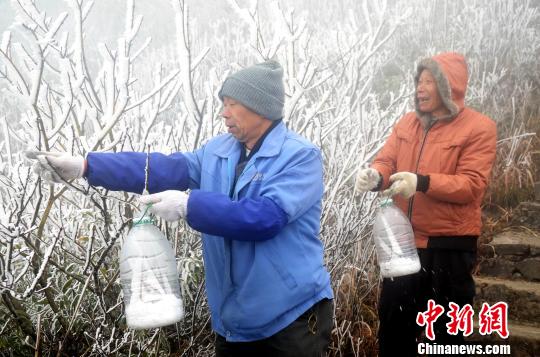 美！广东连山县金子山再降春雪