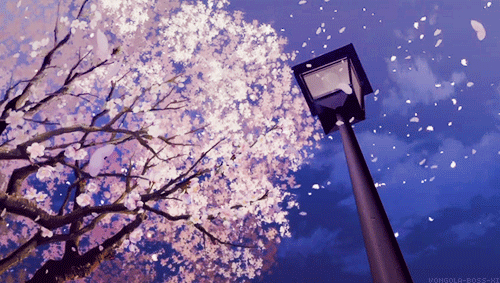 3月月历 | 白菜价的机票带你出去浪一圈