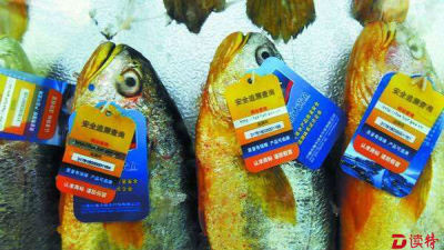 禁用劣质渔药！粤水产品质量安全新规征求意见