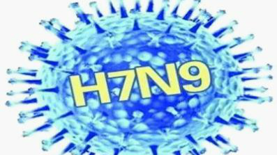 深圳报告今年第三例人感染H7N9病例 现已转阴