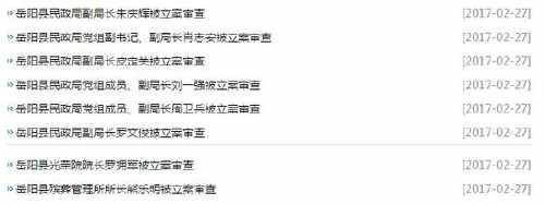 三湘风纪网站截图