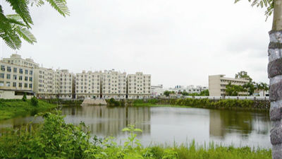 龙岗加快推进高质量的深度城市化