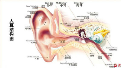 全国爱耳日：年轻人需警惕突发性耳聋
