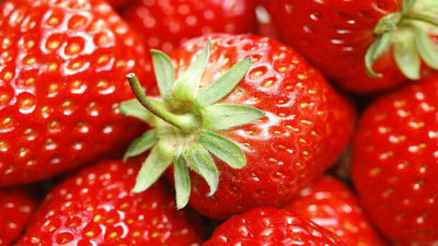 专家释疑:使用植物激素的草莓到底能不能吃?