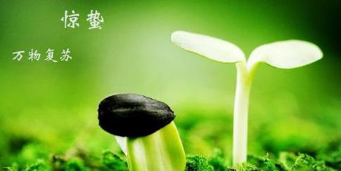 5日惊蛰：过了这个节气 天气就回升啦