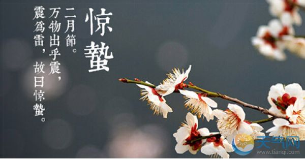 惊蛰到，未来几天又见雨雾朦朦