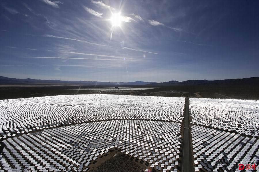 世界最大太阳能发电站或成鸟类死亡陷阱