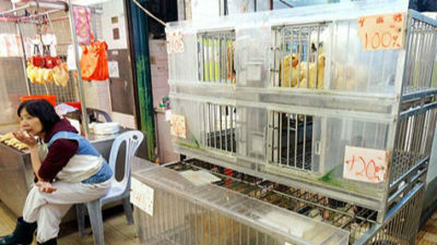 香港禁止从西班牙及美国部分地区进口禽肉