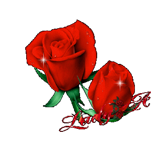 timg (12)