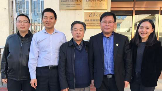重大突破！我国科学家人工合成4条酵母染色体