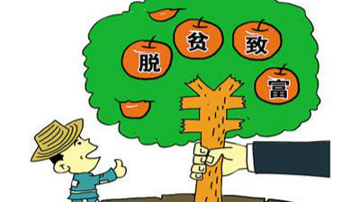代表委员热议建立健全稳定脱贫长效机制