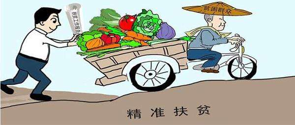 精准扶贫是态度，更是能力水平