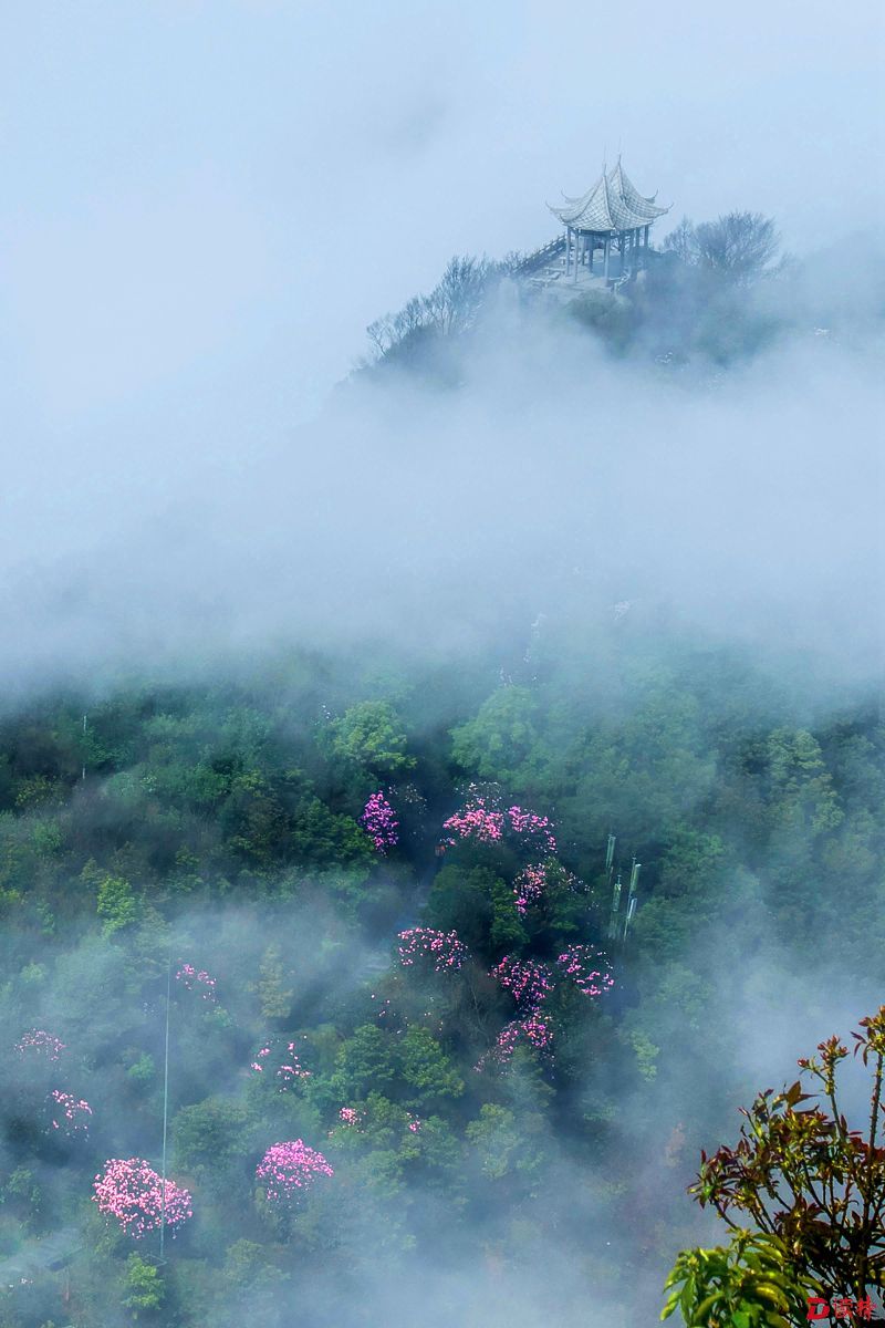 邓飞 梦里繁花处，凉亭巧生烟。